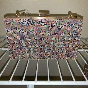 Arielle Clear Purse